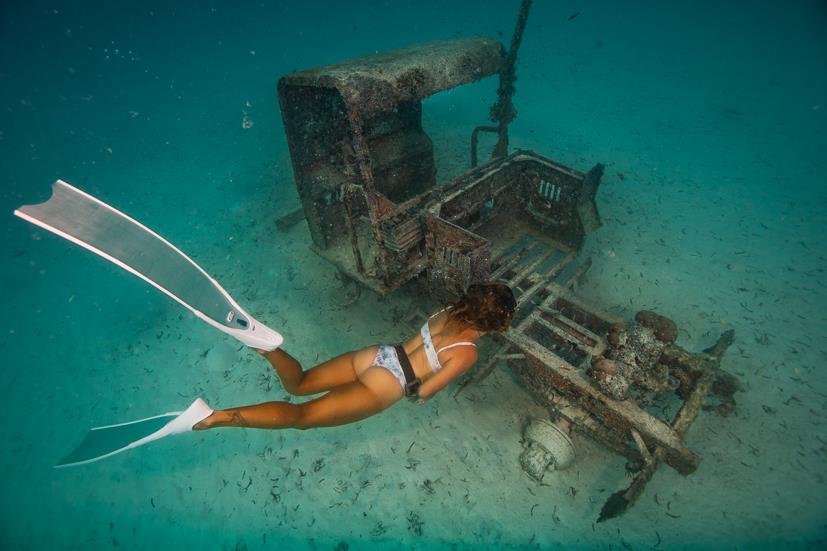 Le Meridien Maldives House Reef - Wreck at Le Meridien Maldives House Reef