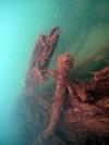 Phillip D. Armour Wreck - wreckage