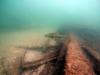 Phillip D. Armour Wreck - fish
