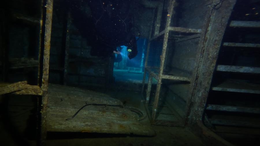 P29 Patrol Boat - P29 Patrol Boat - Interior