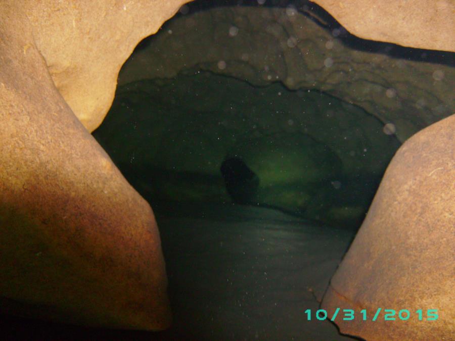 Royal Spring(s) - cave pic under rocks