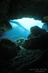 Cow Spring - view of cavern zone from downstream side