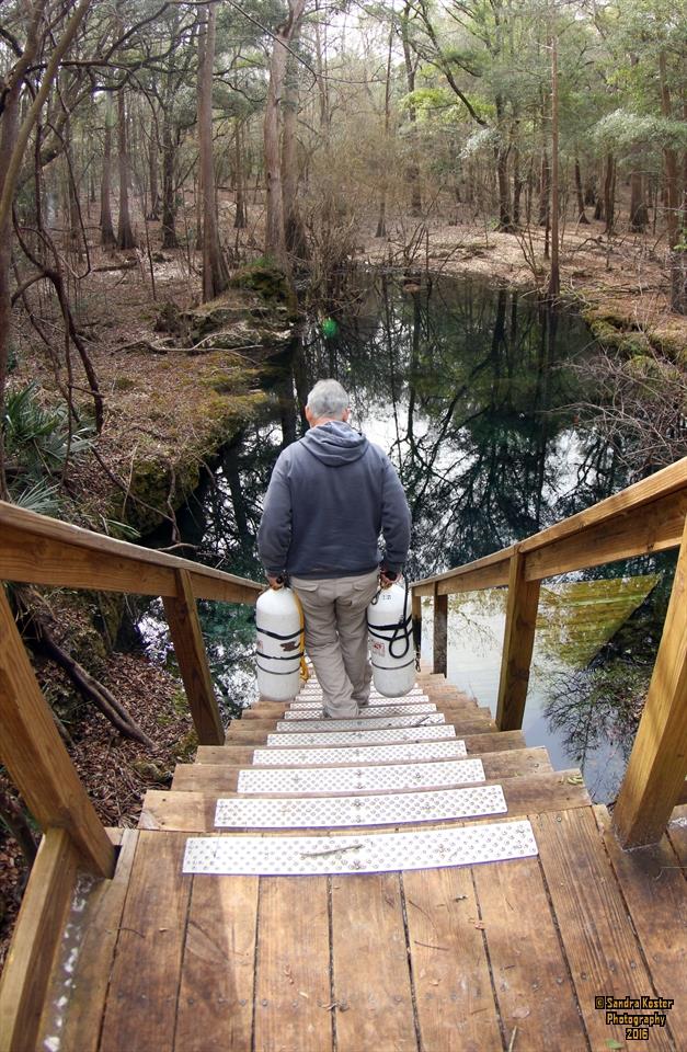 Cow Spring - January 2016 basin portrait