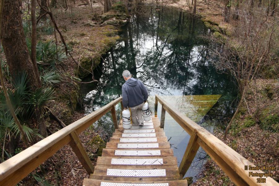 Cow Spring - January 2016 basin landscape