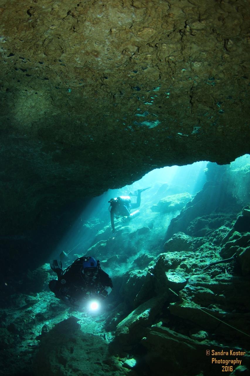 Wes Skyles Peacock Springs State Park - Incoming divers