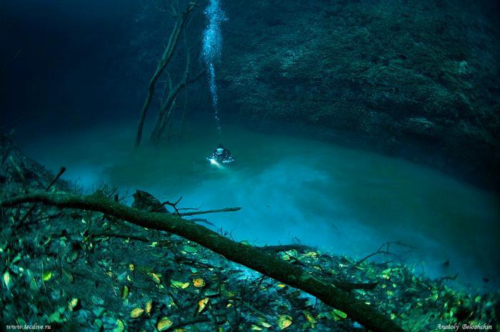 Cenote Angelita - Cenote Angelita - First 100 feet