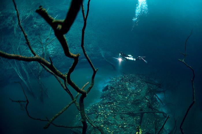 Cenote Angelita - Cenote Angelita - Surreal View