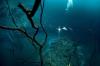 Cenote Angelita - Surreal View - DiveXperience