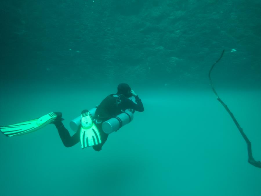 Cenote Angelita - My guide descending into the cloud