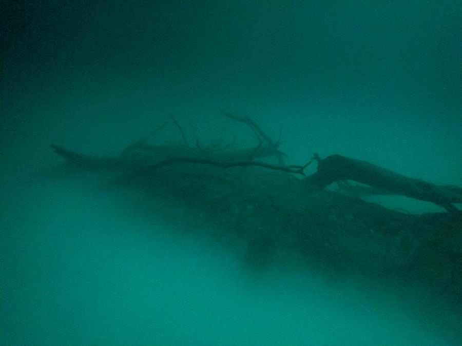 Cenote Angelita - Logs in the cloud