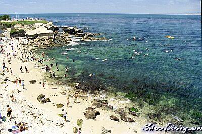 La Jolla Cove - La Jolla Cove