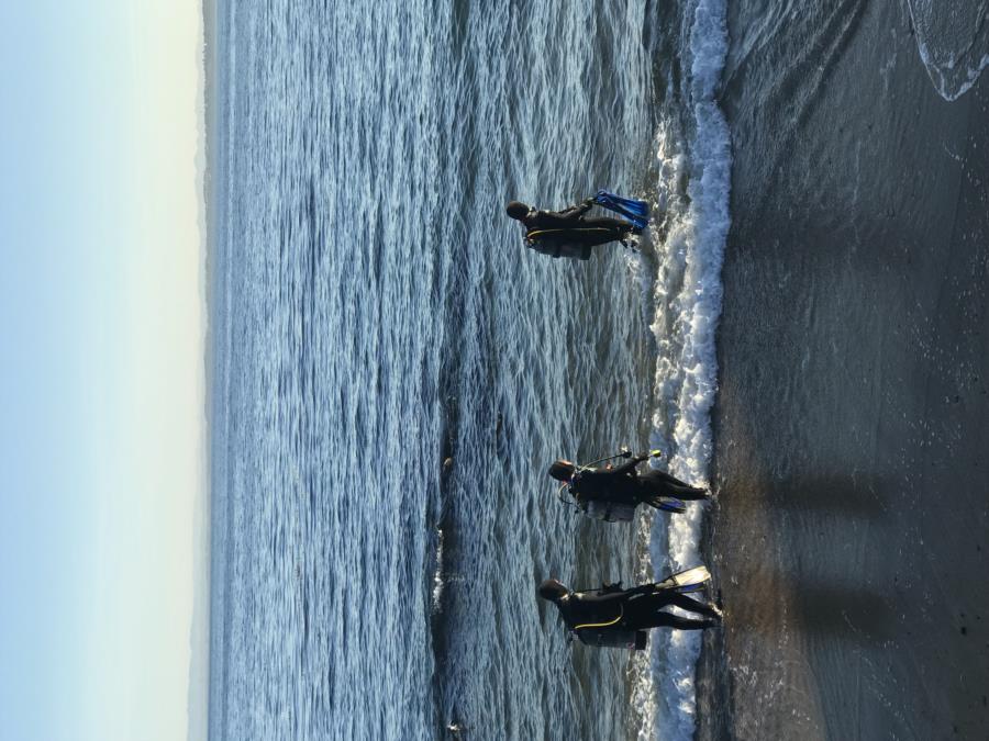 Breakwater Cove - Breakwater Cove Monterey