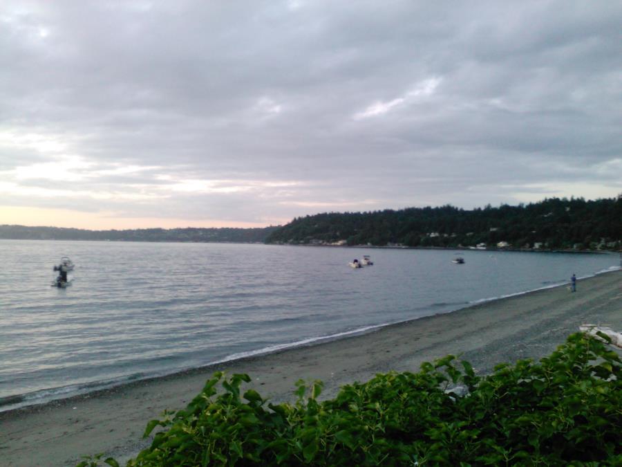 Salt Water State Park - Three tree point Demoines WA.