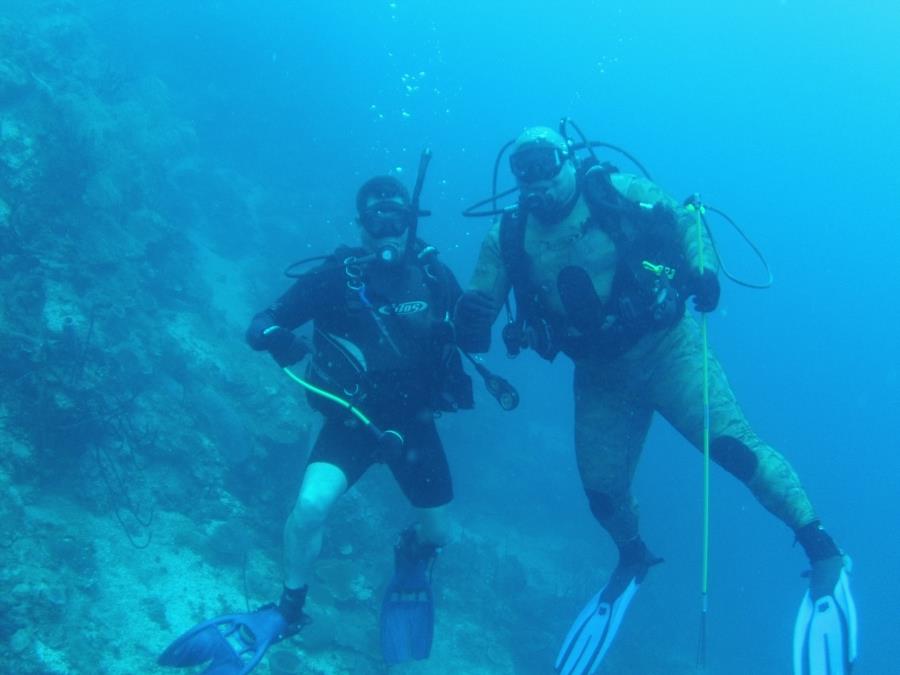 Dive the DR Catalina Island