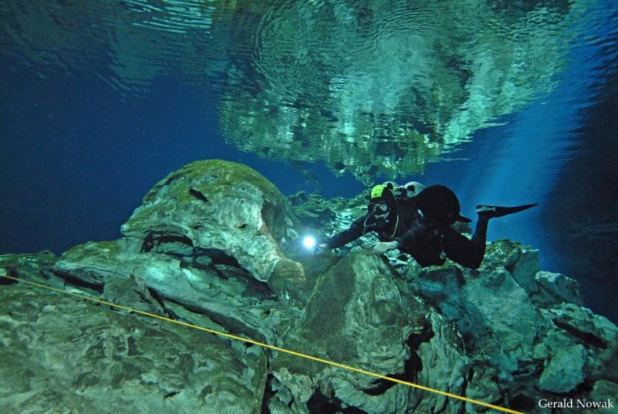 amazing cenote