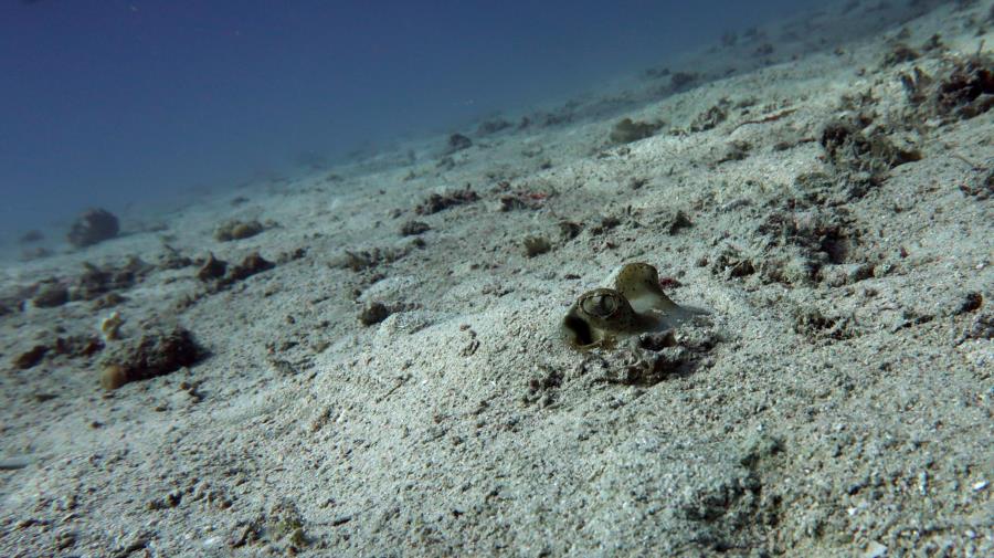 Diving in El Nido