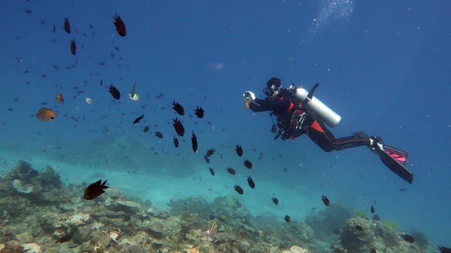 Diving in El Nido