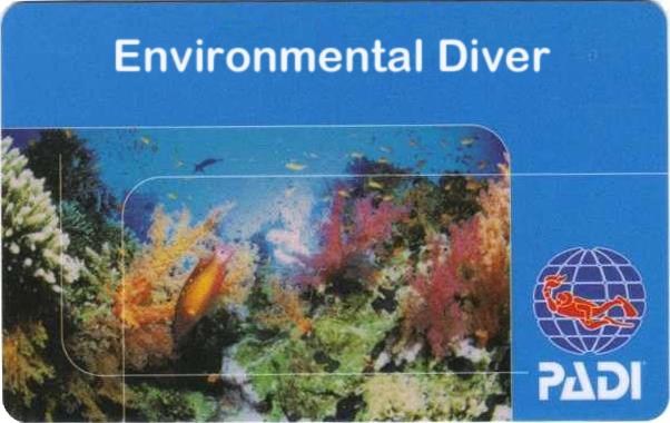 environmental diver