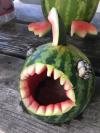 Watermelon Shark