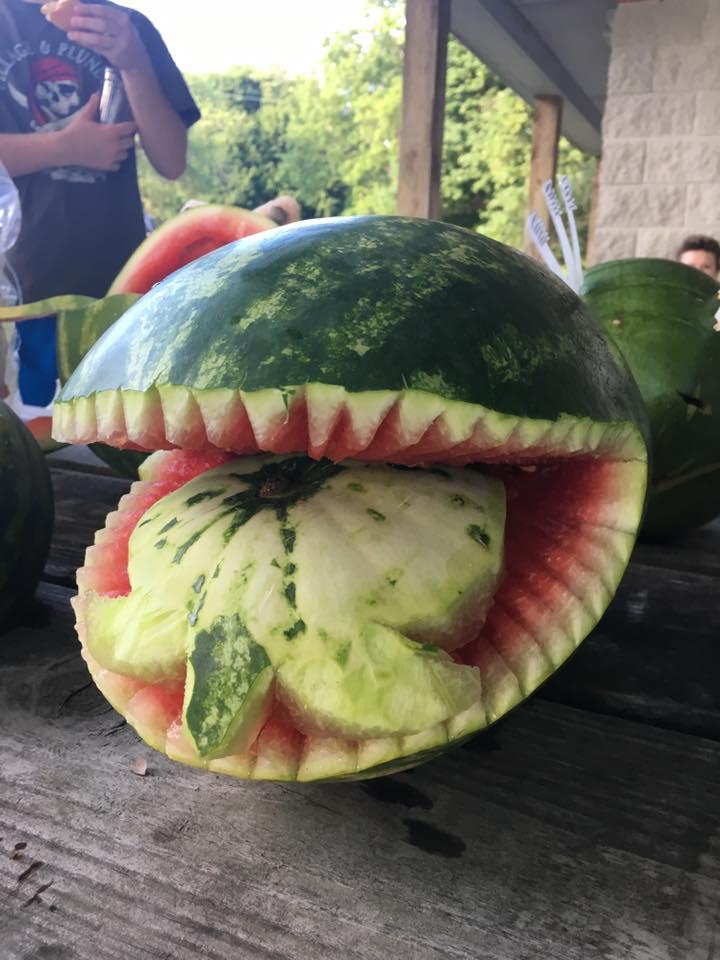 Watermelon Shark Turtle