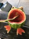 Watermelon Frog