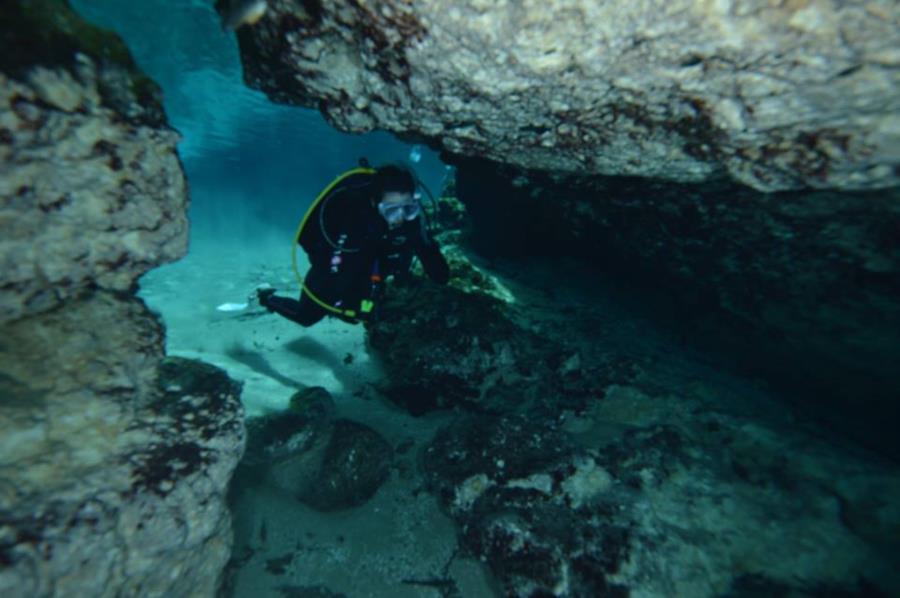 Ginnie Springs