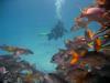 First Dive Trip: Belize