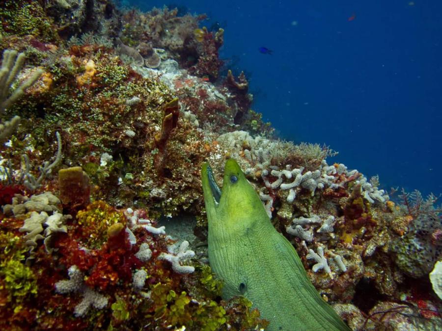 Cozumel