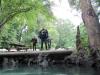 Ginnie Springs 2