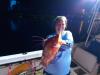 Hogfish