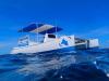 Deefer Diving Dive Catamaran Bobcat