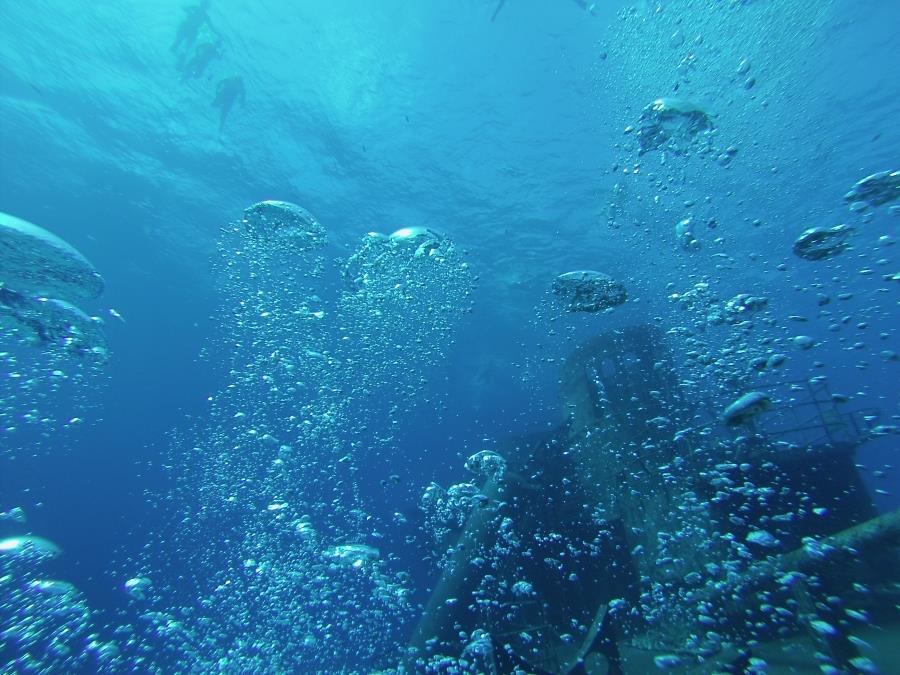 Bubbles and Snorkelers at Kittiwake Wreck
