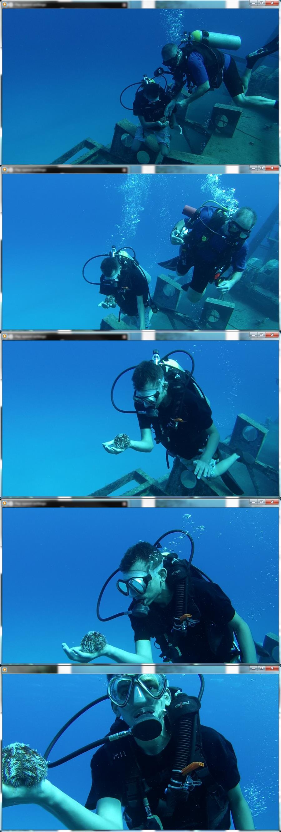 Chris with his new friend while diving the Kittiwake