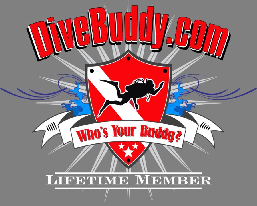 DiveBuddy.com Lifetime Membership T-Shirt - Light Gray