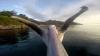 Pelican Flys with GoPro Camera Attached