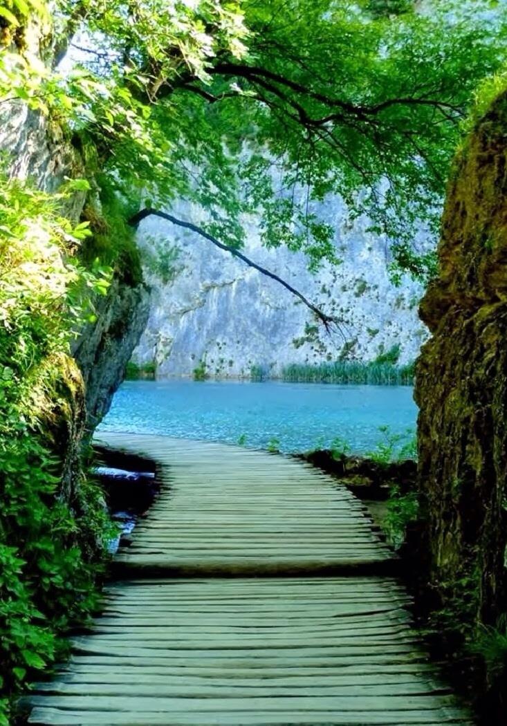 Wooden walkway to lake - Plitvice Lakes National Park in Croatia