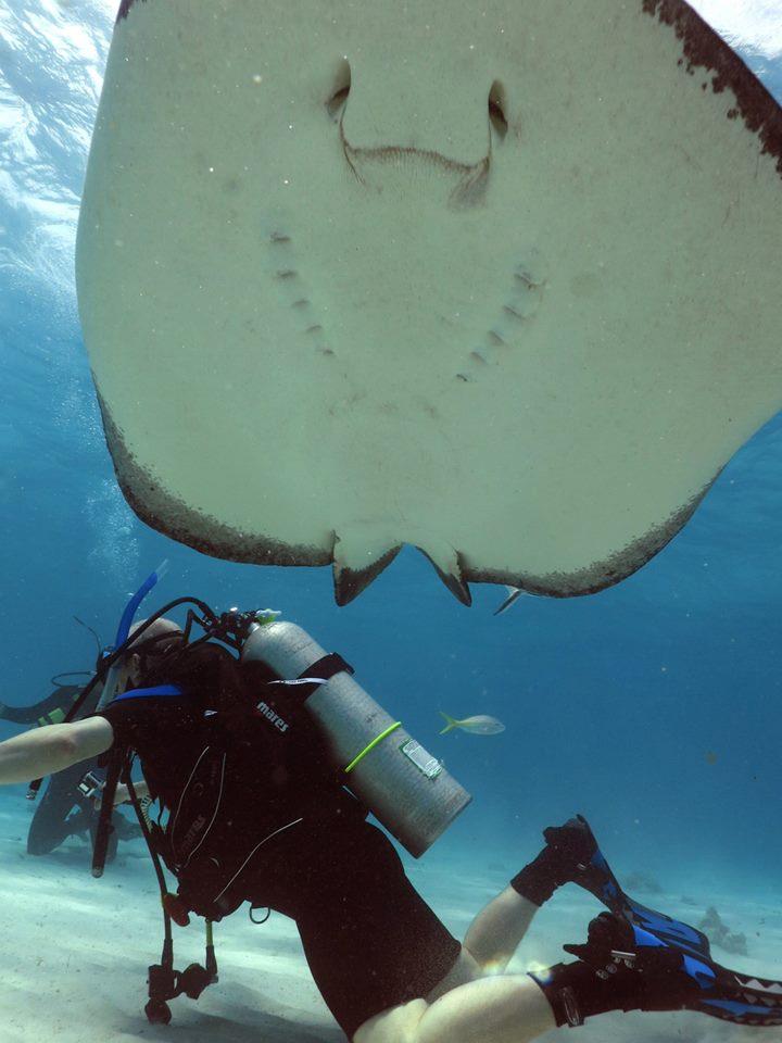 Stingray City