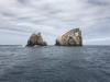 Rocas gordon, Galapago