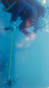 Spear fishing on the Dominicus reff