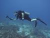 Cancun Wreck Dive #6 12/16