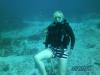 Cancun Dive Buddy #1 12/16