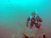 Diving Monterey