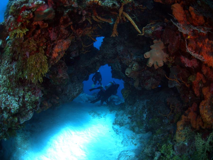 Palancar Caves, Cozumel