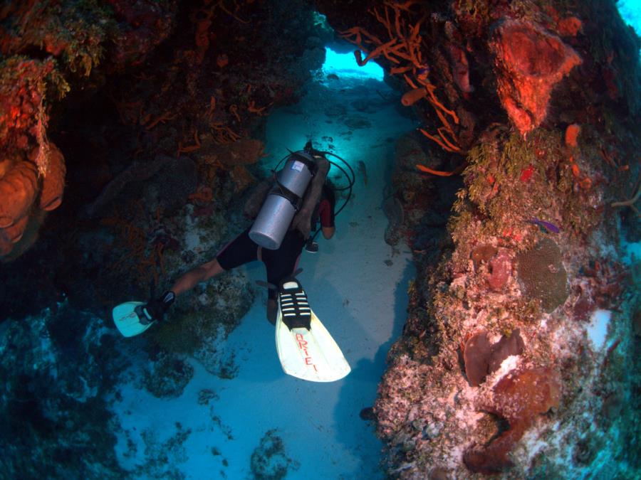 Cozumel Palancar Reef