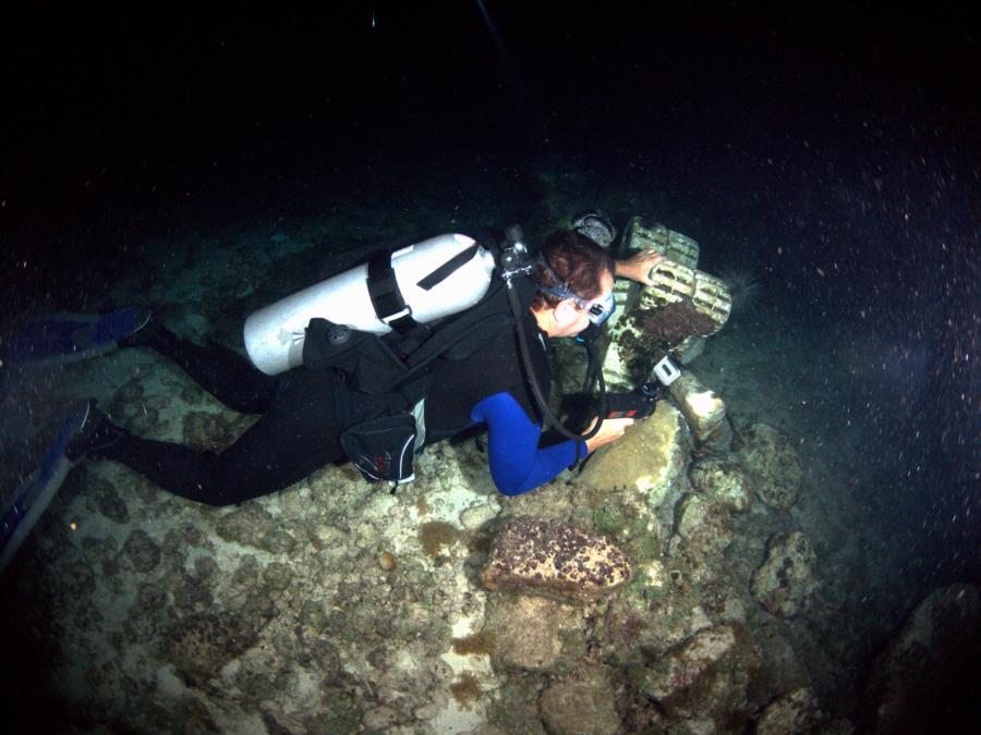 Cozumel Scuba Club Night Dive 4