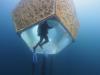 Diver Inside Underwater Scupter 2