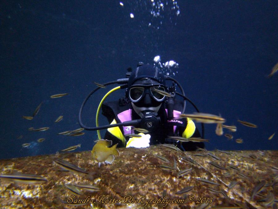 Sandy and the rare minnows 1 at Blue Grotto