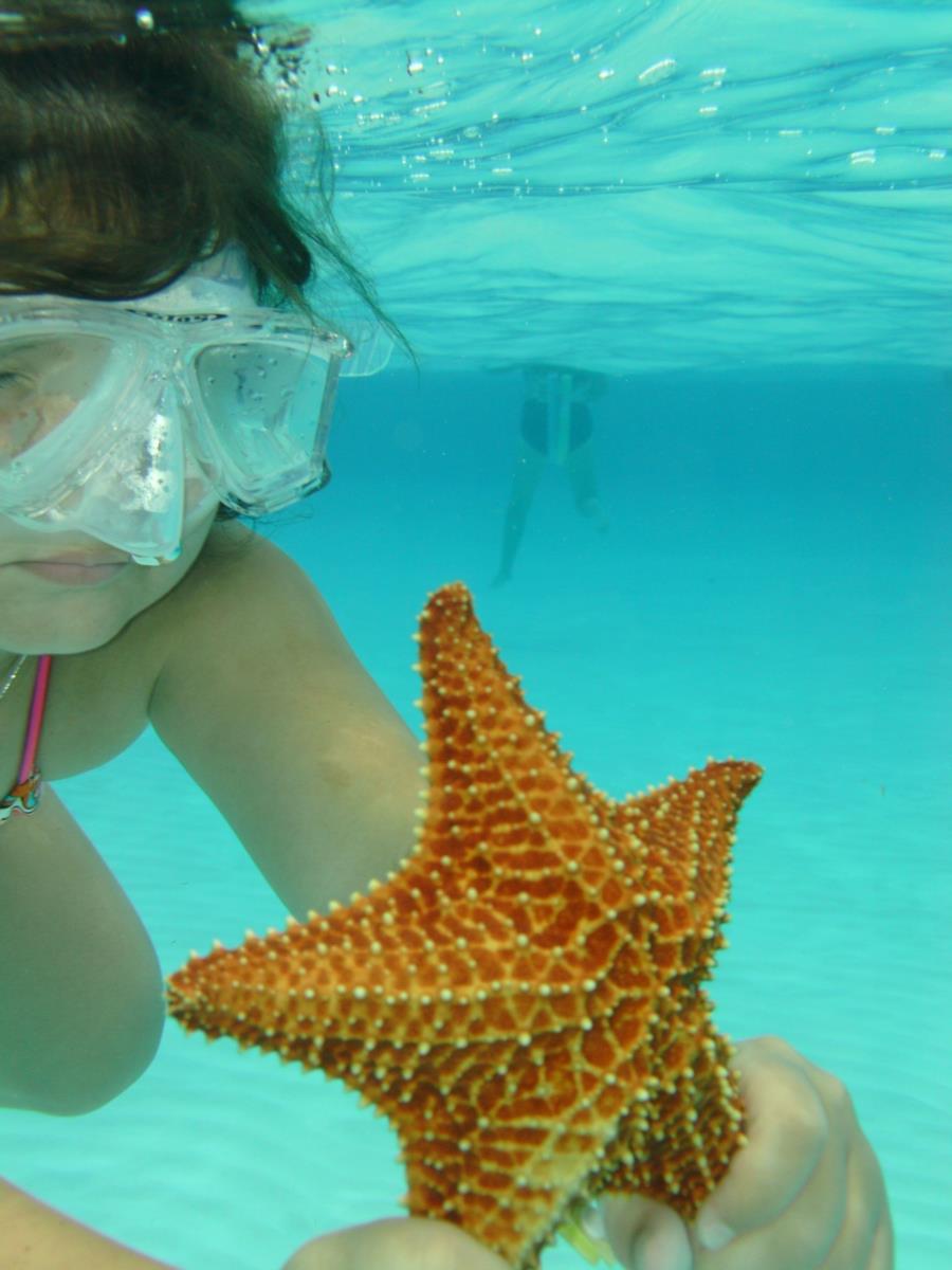 my daughter and her starfish, saying bye
