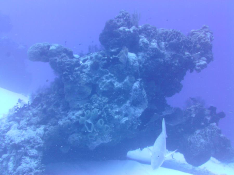 Beautiful waters of Cozumel