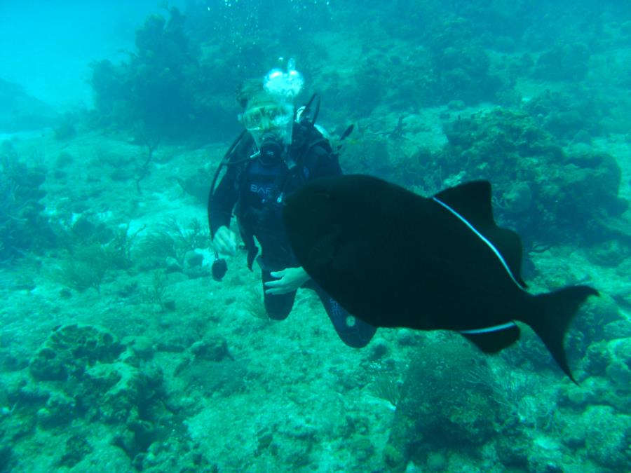 cruise-cozumel